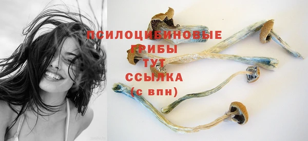 прущая мука Покровск