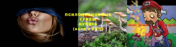прущая мука Покровск
