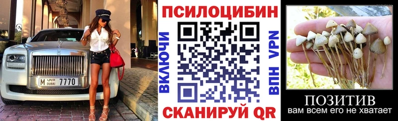 Псилоцибиновые грибы MAGIC MUSHROOMS  блэк спрут ТОР  Березники 
