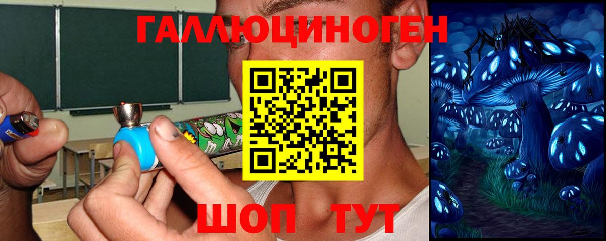 Галлюциногенные грибы Psilocybe  Вход с VPN  Березники 